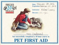 Pet First Aid Certificate