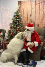 Gracie wth Santa