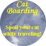 Cat Boarding