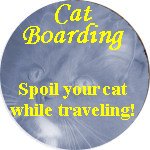 Cat Boarding