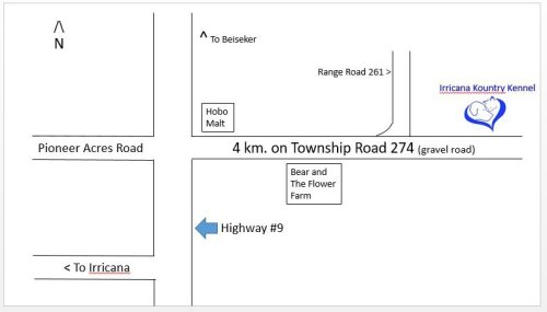 Map to Irricana Kounty Kennel