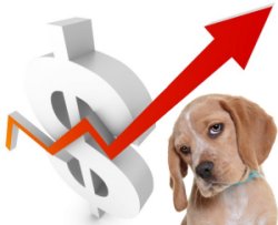 Price Incease