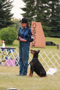 Rally obedience course with Reeva & she received her Novice Title!